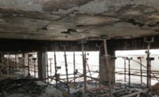 eFORCE Consultancies Group