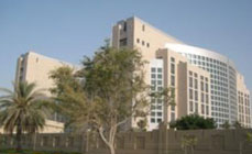 eFORCE Consultancies Group