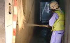 eFORCE Consultancies Group