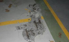 eFORCE Consultancies Group