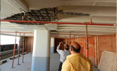 eFORCE Consultancies Group