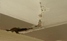 eFORCE Consultancies Group