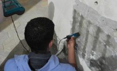 eFORCE Consultancies Group