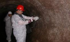 eFORCE Consultancies Group