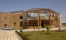 eFORCE Consultancies Group